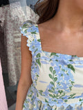 Blue Bonnets Dress